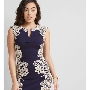 NWT Lakeside Libations from ModCloth in Navy!